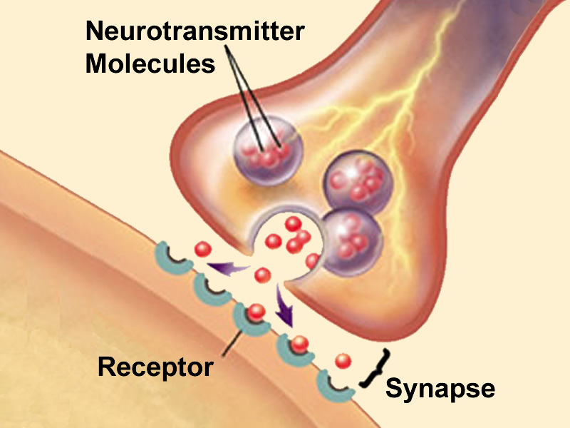 Neurotransmitter