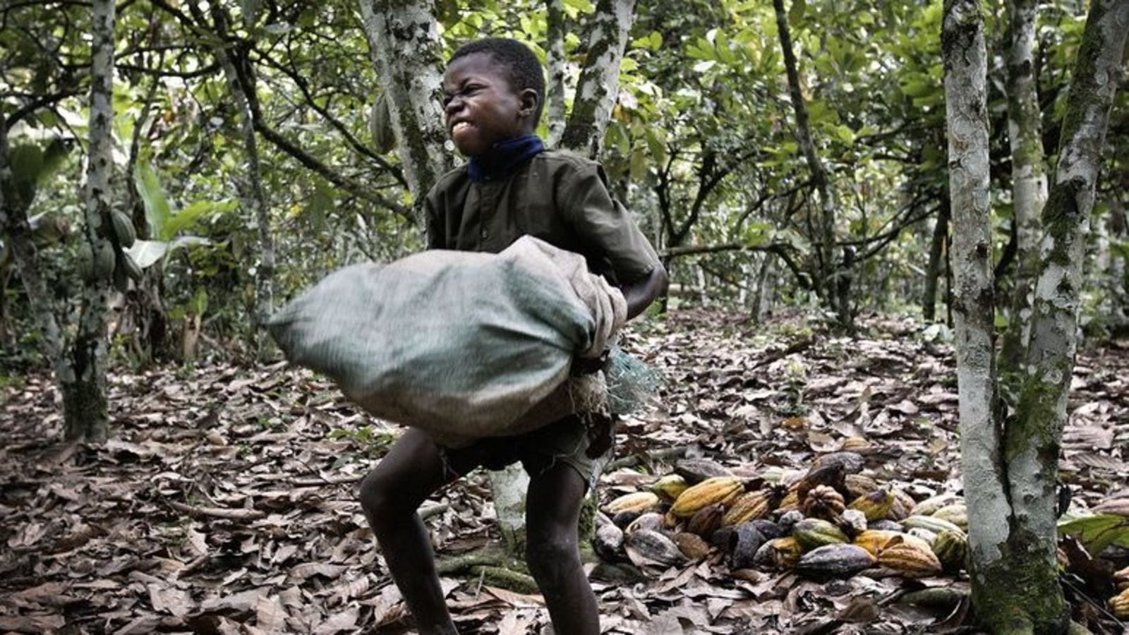 Cocoa’s child laborers