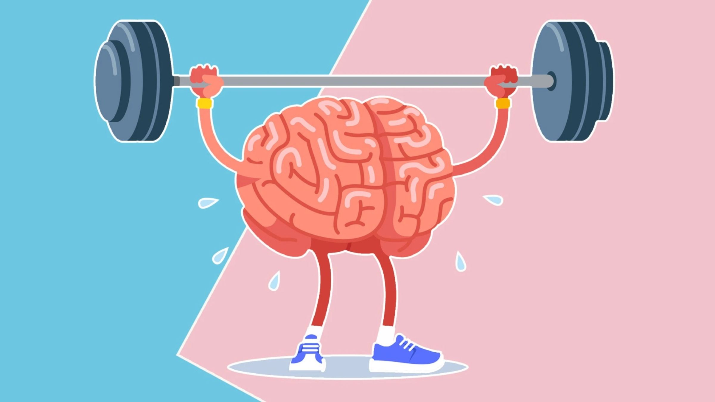 No image for topic: How to take care of your brain health?