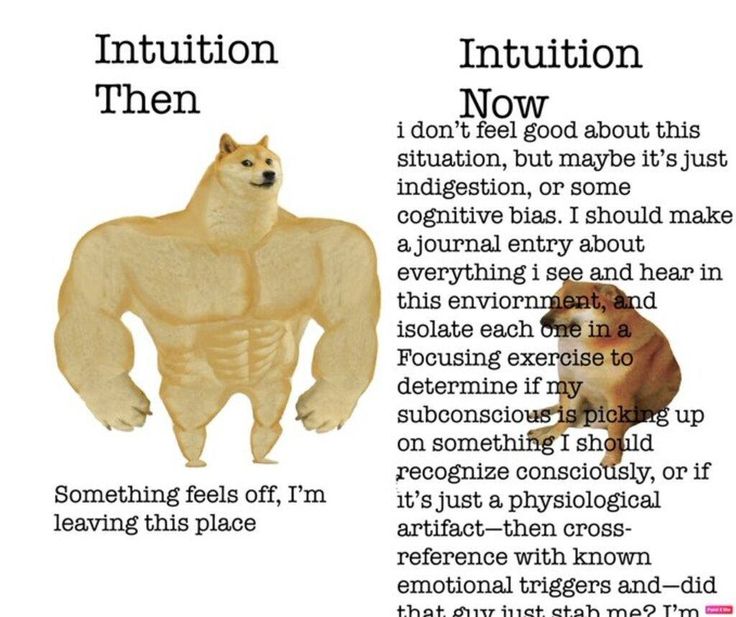 Intuition